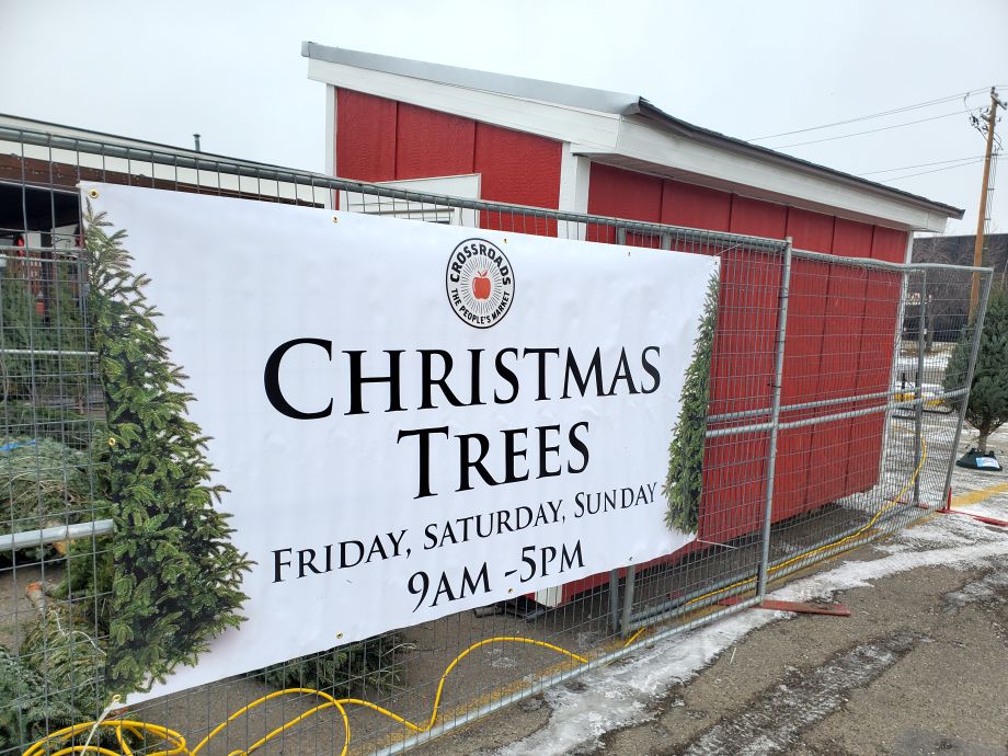 Christmas Trees For Sale in Calgary - Crossroads Market